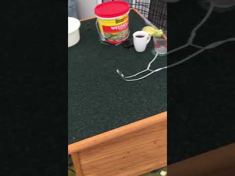 E.J.M. Property maintenance video.