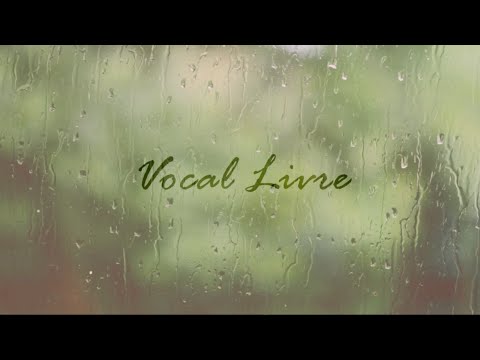 Pingo de Chuva - Vocal Livre (Lyric Video)