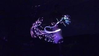 &quot;Why is it&quot; by MOME and Merryn Jeanne