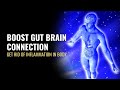 Boost Gut Brain Connection | Increase Your Gut Microbiome |  Get Rid of Inflammation in Body | 741Hz