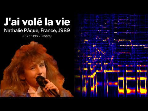 J'ai volé la vie - by Nathalie Pâque,1989, France - Spectrogram audio analysis with Sonic Visualizer