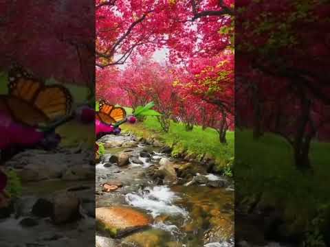 animated nature reel #Swarit Redekar#shortsviral