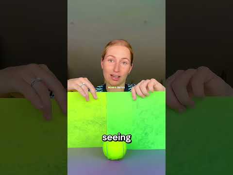 Why Are Tennis Balls Optic Yellow ⁉️😱