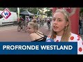 Wielerfans genieten van Profronde Westland: 'Ze gaan wel héél snel voorbij' - OMROEP WEST