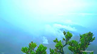 Download lagu Musikalisasi Puisi • #FiersaBesari | Puncak Gunung Gede Pangrango mp3 Download lagu Musikalisasi Puisi • #FiersaBesari | Puncak Gunung Gede Pangrango mp3