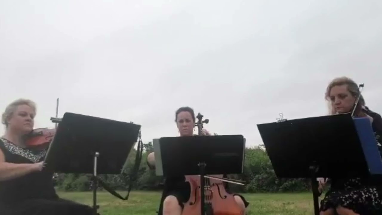 Hire Classy Strings String Trio in Newport, Rhode Island