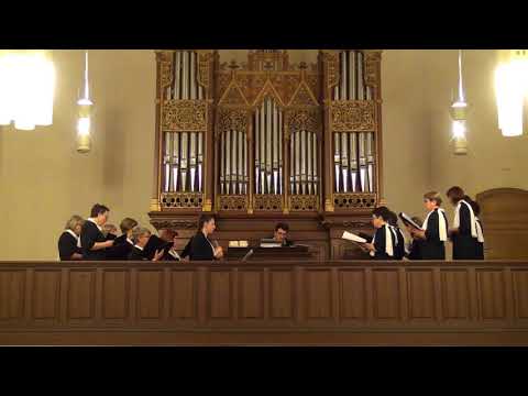 13. M Lešćan: Pohvale Gospi