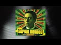Sergio Mendes - That Heat (Official Visualizer)