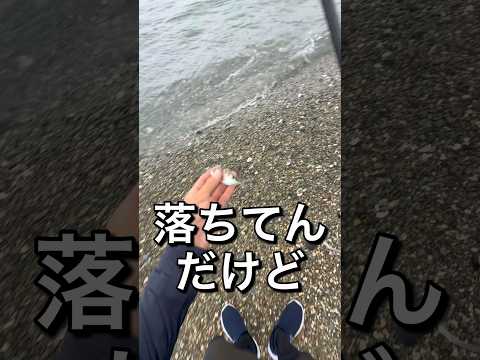 落ちてた魚を餌にすると…#fishing #釣り