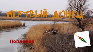 Рыбалка в каратаево весна 2020 ростов