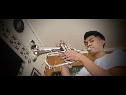 Mr. Batallan Flugel Horn