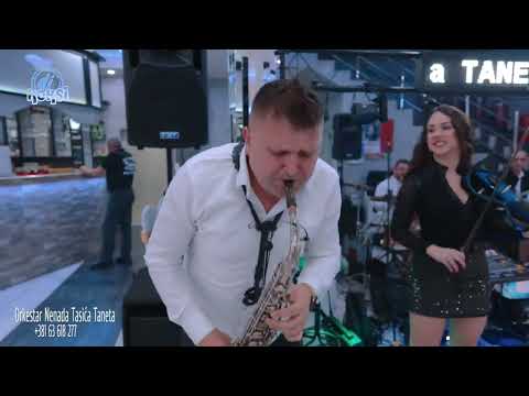 Orkestar Nenada Tasica Taneta - Uvodni Instrumentali 2024 [3 Delfina, Potocac-Paracin]