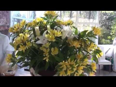 TOMO DAIME E O DAIME ME BALANÇOU - F.D.J. TETEU 44 E 45