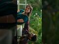 Joe Movie Love Efx Status Joemovie Joe Malavikamanoj Bhavyatrikha Rioraj Rio Lovestatus