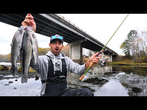 BRIDGE FISHING a LOADED Trout River!!  CATCH and COOK Tasty Rainbow Trout!