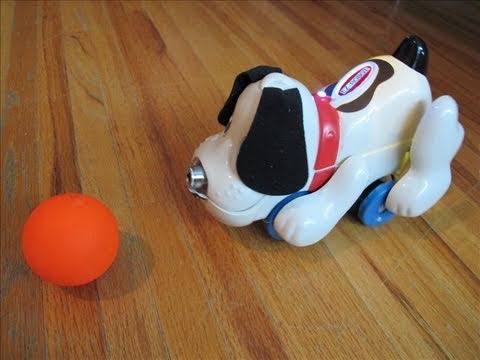 DJ's Robot Dog Chases Ball
