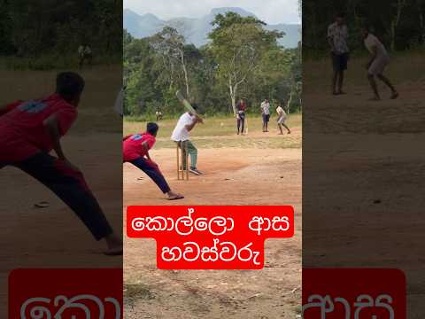 කොල්ලො ආස හවස්වරු ❤️🥺 #cricket #indiancricket #srilankacricket #ipl #indiavssrilanka2ndt20