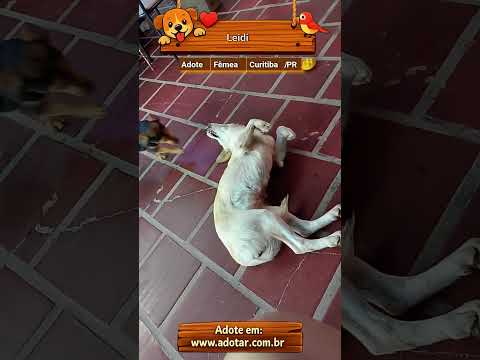 Vídeo de Leidi