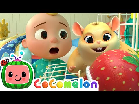 Lost Hamster Song! | @CoComelon & Baby Songs | Moonbug Kids