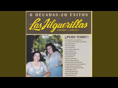 Chaparrita Consentida