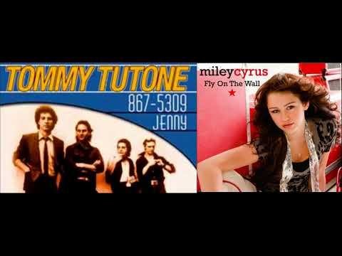 867-5309 on the Wall (Tommy Tutone Vs Miley Cyrus)(MasDaMind Mashup)