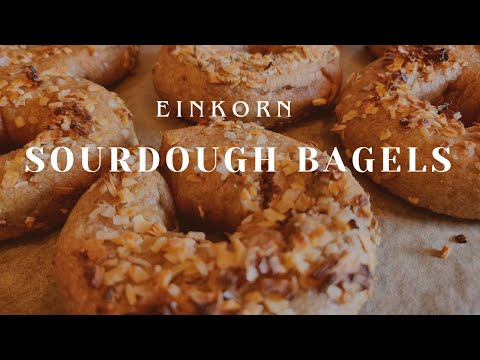 How to Make Sourdough Bagels with Einkorn