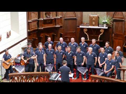 Hegoak,  quinz'amics