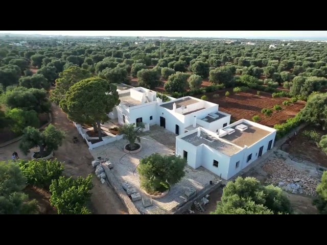 Rif. 1671 Masseria con uliveto secolare in vendita a Fasano