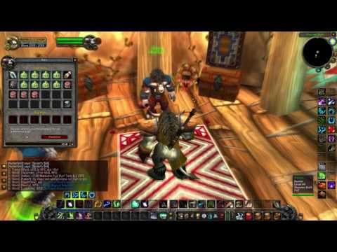 Where is the Bank in Thunder Bluff - Vanilla WoW  Elysium