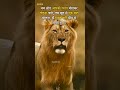 Hindi Best Motivational Status Successful Status Shorts Motivation Explore