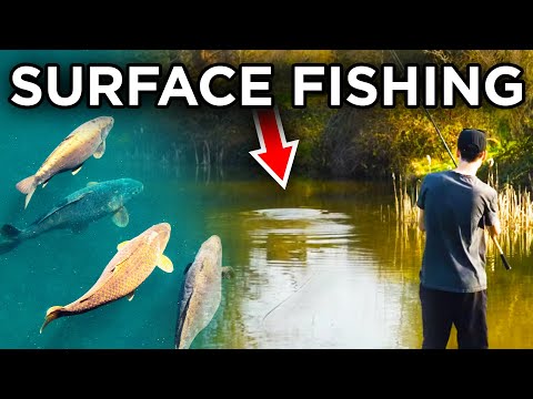 Surface Fishing For Carp - Made Easy! (I caught loads!)