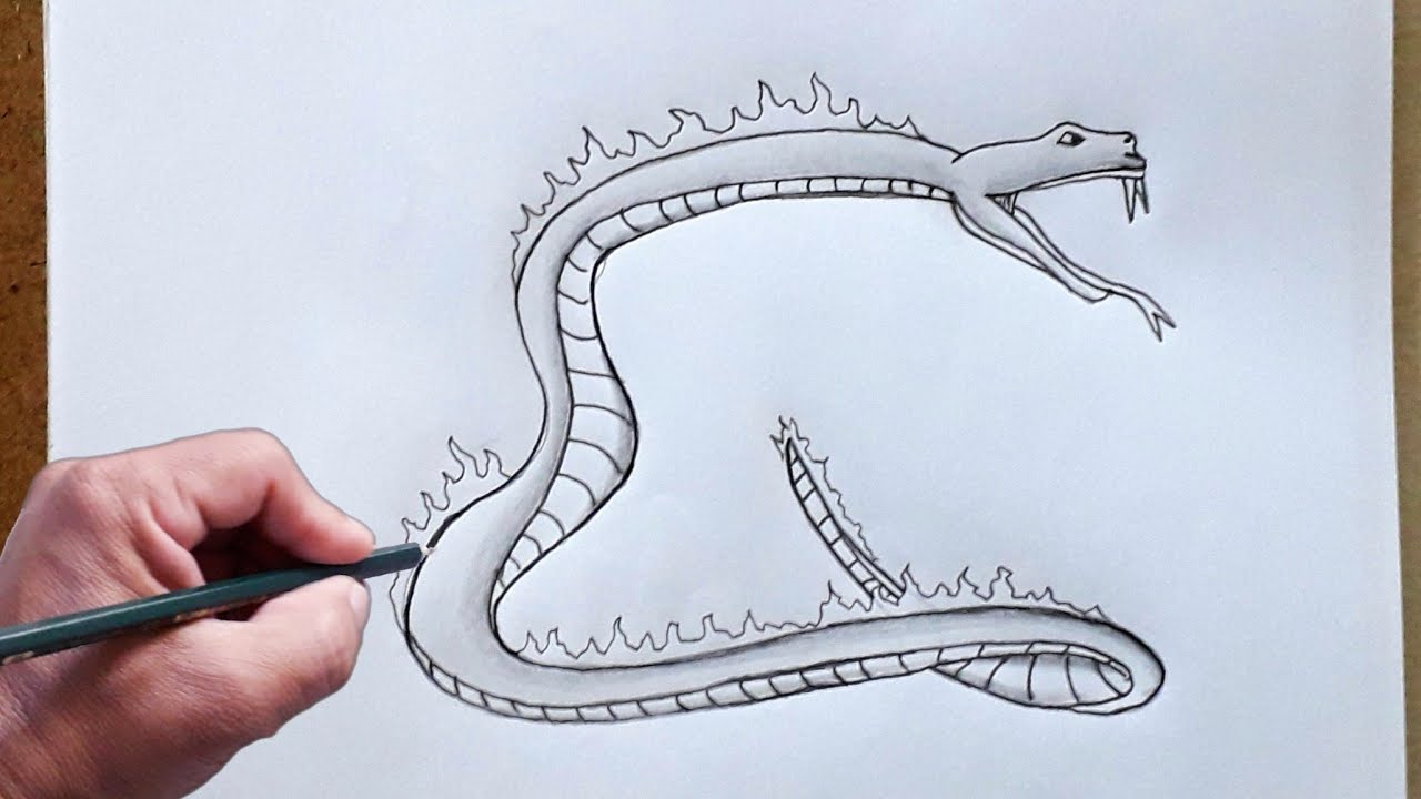 Desenho para colorir Boitata como desenhar / Boi Guaçu