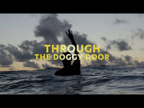 Through The Doggy Door