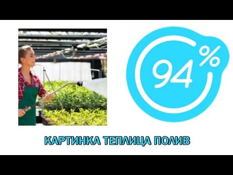 Игра 94 процента ответы на 6 уровень КАРТИНКА ТЕПЛИЦА ПОЛИВ. Ответы на игру 94%