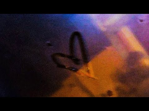 Teo mlv - Toco Madera (Video Oficial)