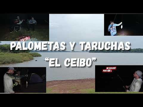 ACAMPE Y PESCA EN "EN EL CEIBO" (MONTE CASEROS - CORRIENTES) HERMOSO LUGAR!