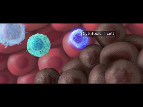 Биотермальный комплекс G Bio