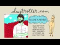 Tim Williams - Novel - Daytrotter Session