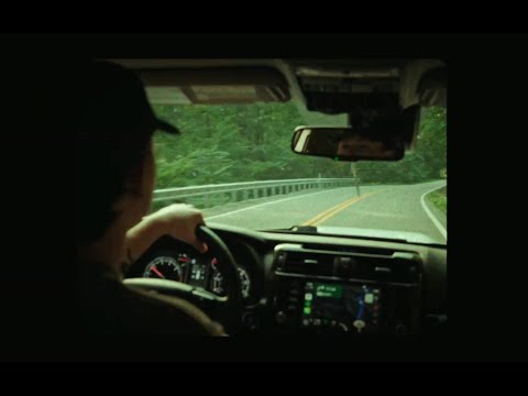 Steinza - What You Wanted (Official Lyric Video)