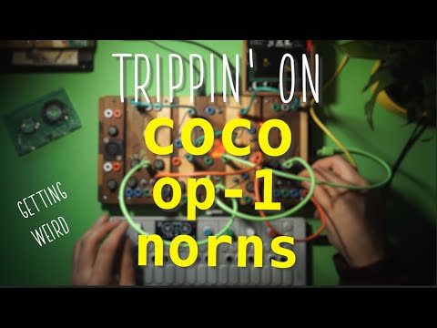 trippin' on some flowery seeds (NORNS SHIELD, COCOQUANTUS & OP-1)