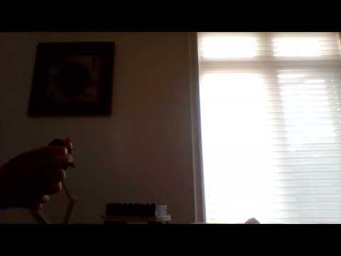 failed redstone machines be like