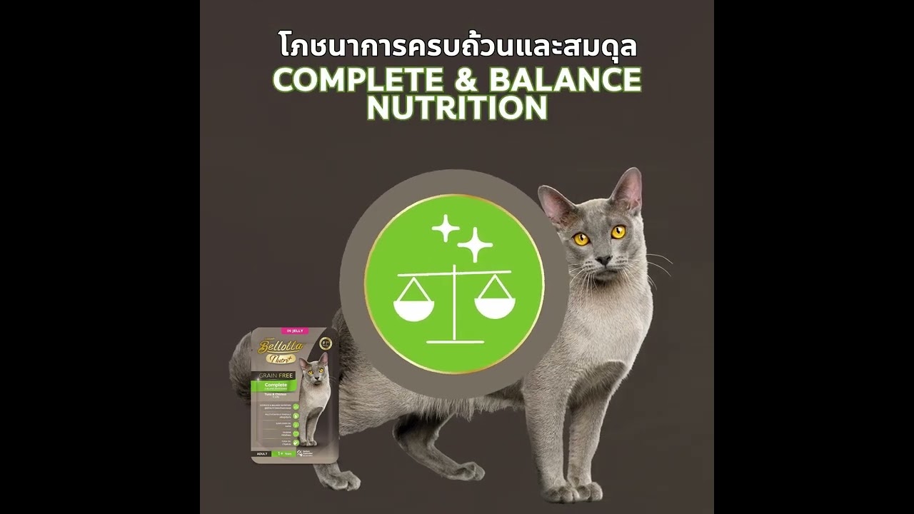Product Advertisement