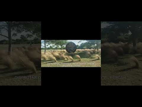 YA SABÉS DÓNDE IR ENTONCES ??  #turismo #@VIAJEMOSGO #SANNICOLAS #BUENOSAIRES