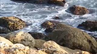 Download lagu Besame Mucho - Piano Instrumental mp3