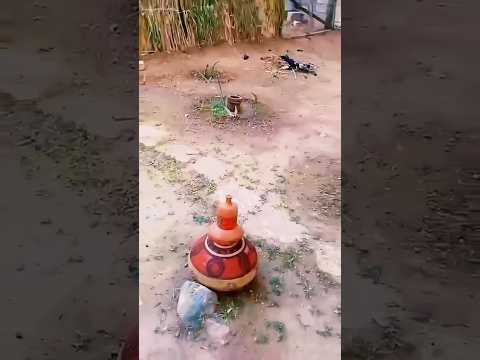 Beautiful Village life #chhachhitv #attockvlogger