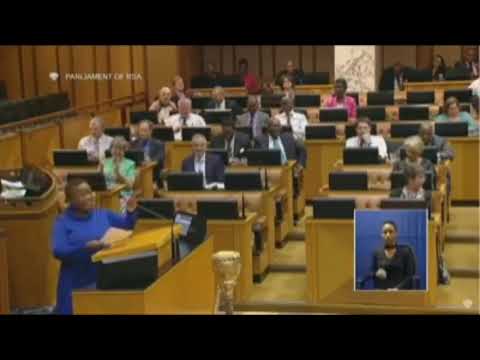 Mam khawula and EFF Ladies Vs DA's Van Damme