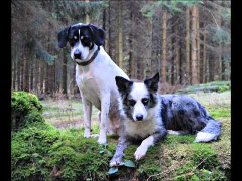 Happy Birthday Deena 4 Jahre ♥