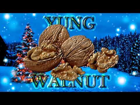 yung walnut - christmas special 2018