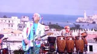 Jimmy Buffett - Havana Daydreaming