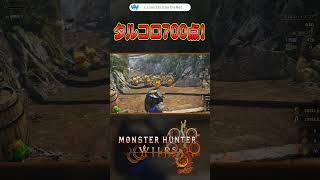 【MHWilds】タルコロ 700点【モンスターハンターワイルズ】